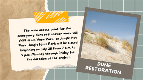 Dune restoration Varn to Jungle Hut