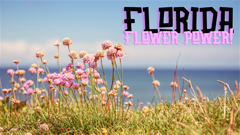 Florida Flower Power