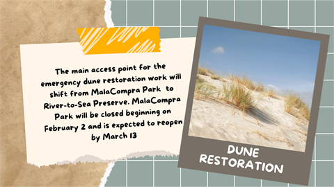 MalaCompra dune restoration.png