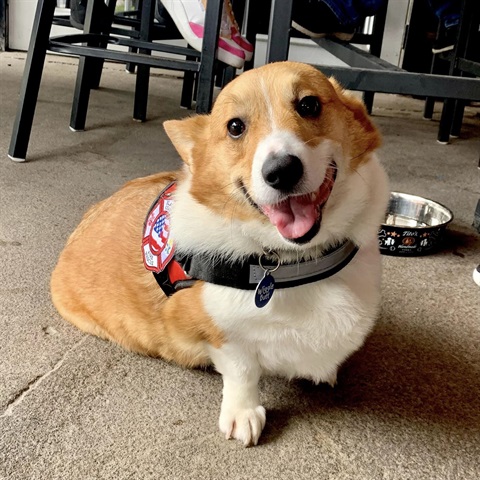 Taco Smile.jpg