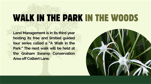 walk in the park Graham Swamp.png