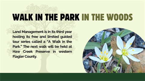 Walk in the Park at Haw Creek Preserve