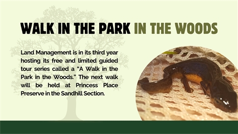 walk in the park graphic