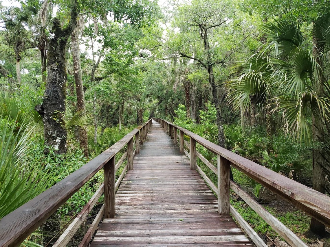 Haw Creek Preserve - Russell Landing